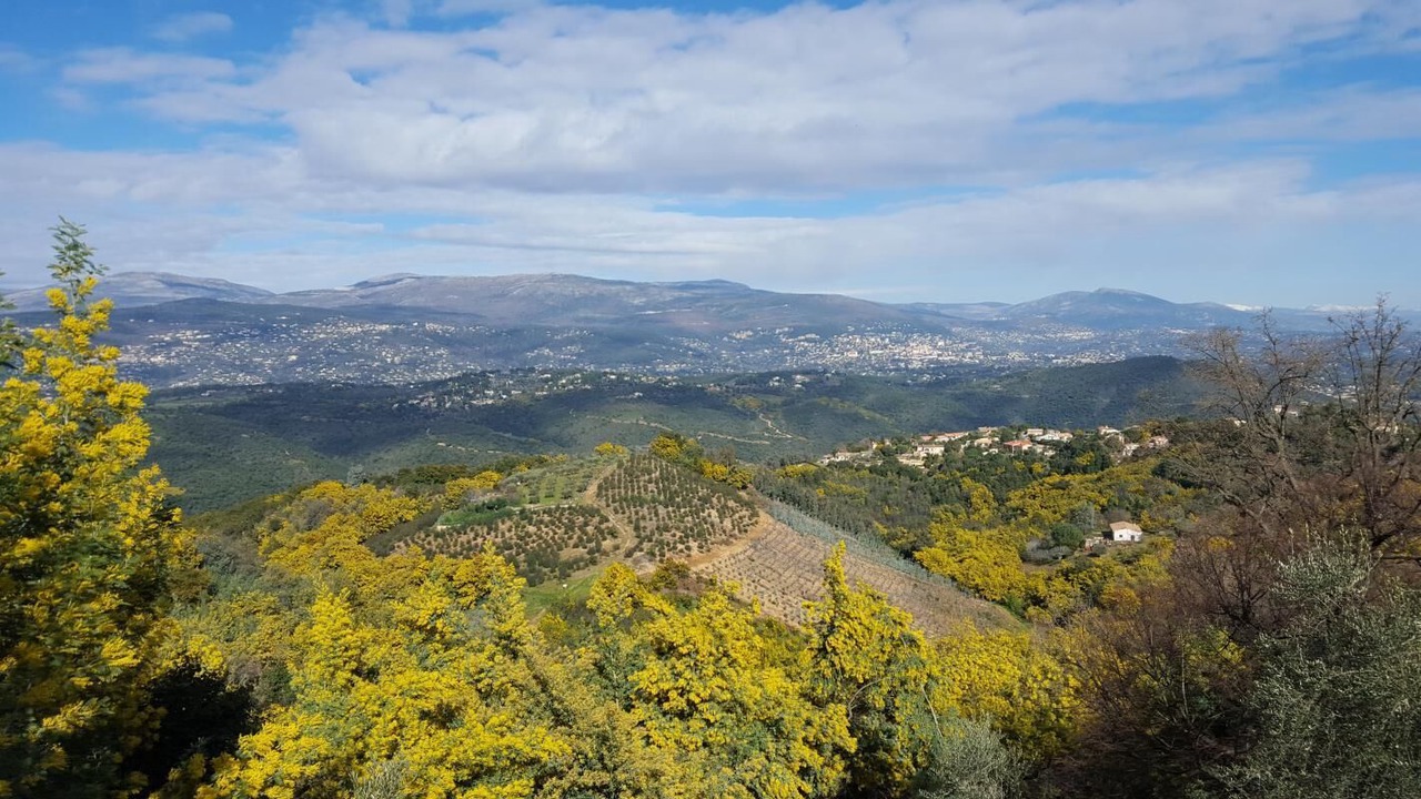 Photo of Others in Tanneron