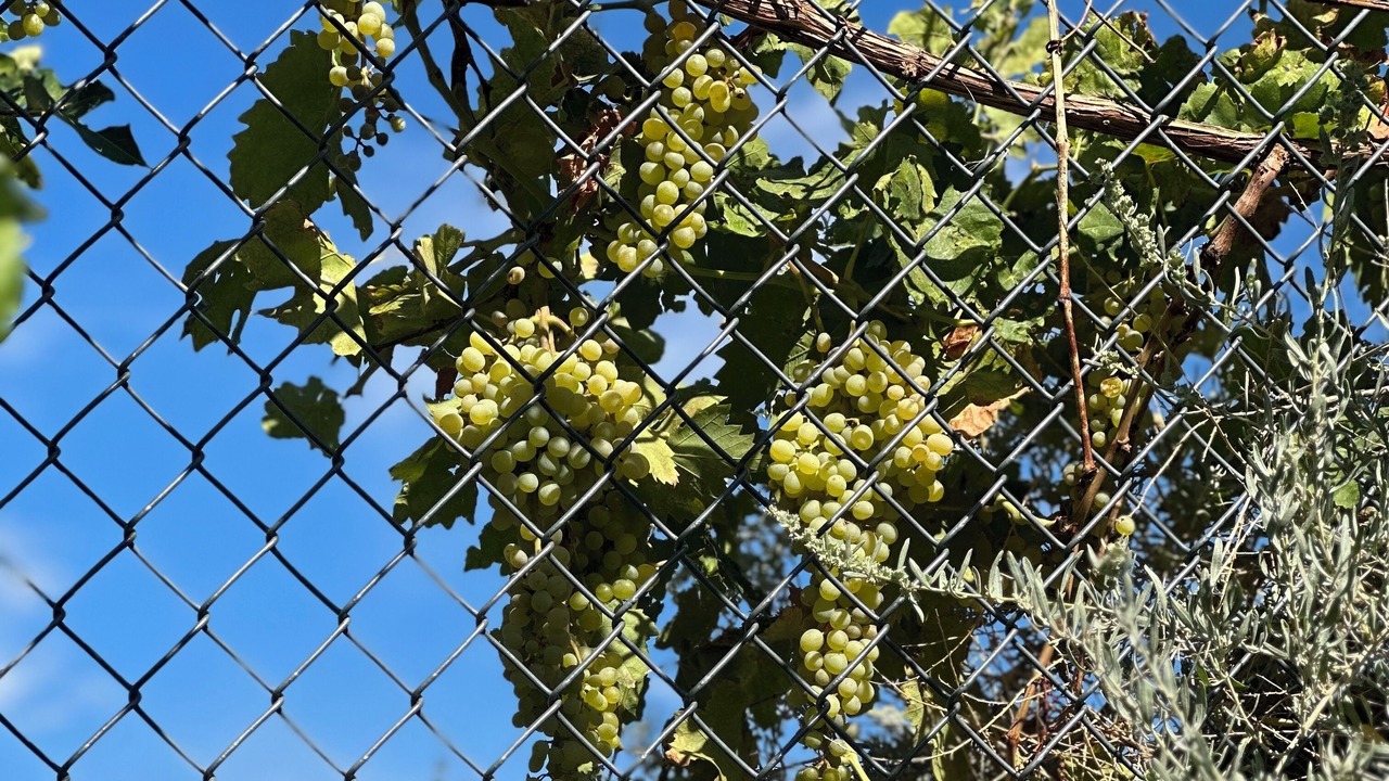 Photo of Outdoor in Northeast Heights