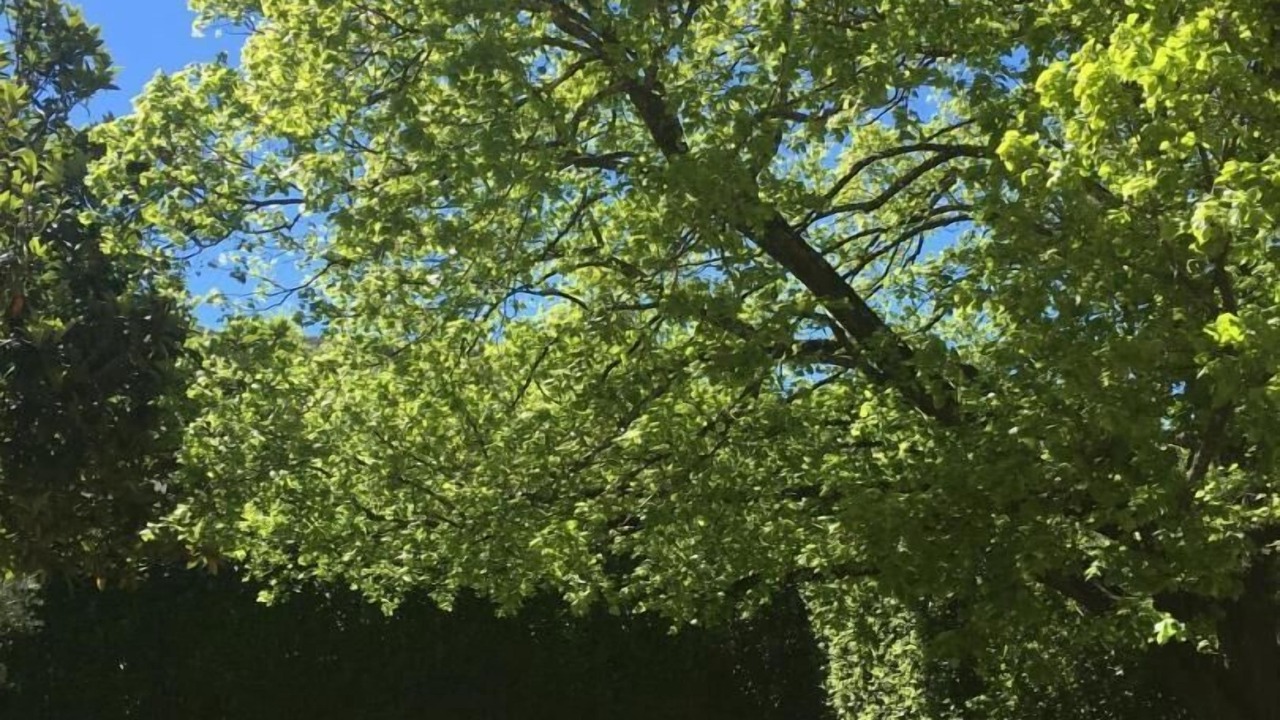 Photo of Outdoor in Rougiers