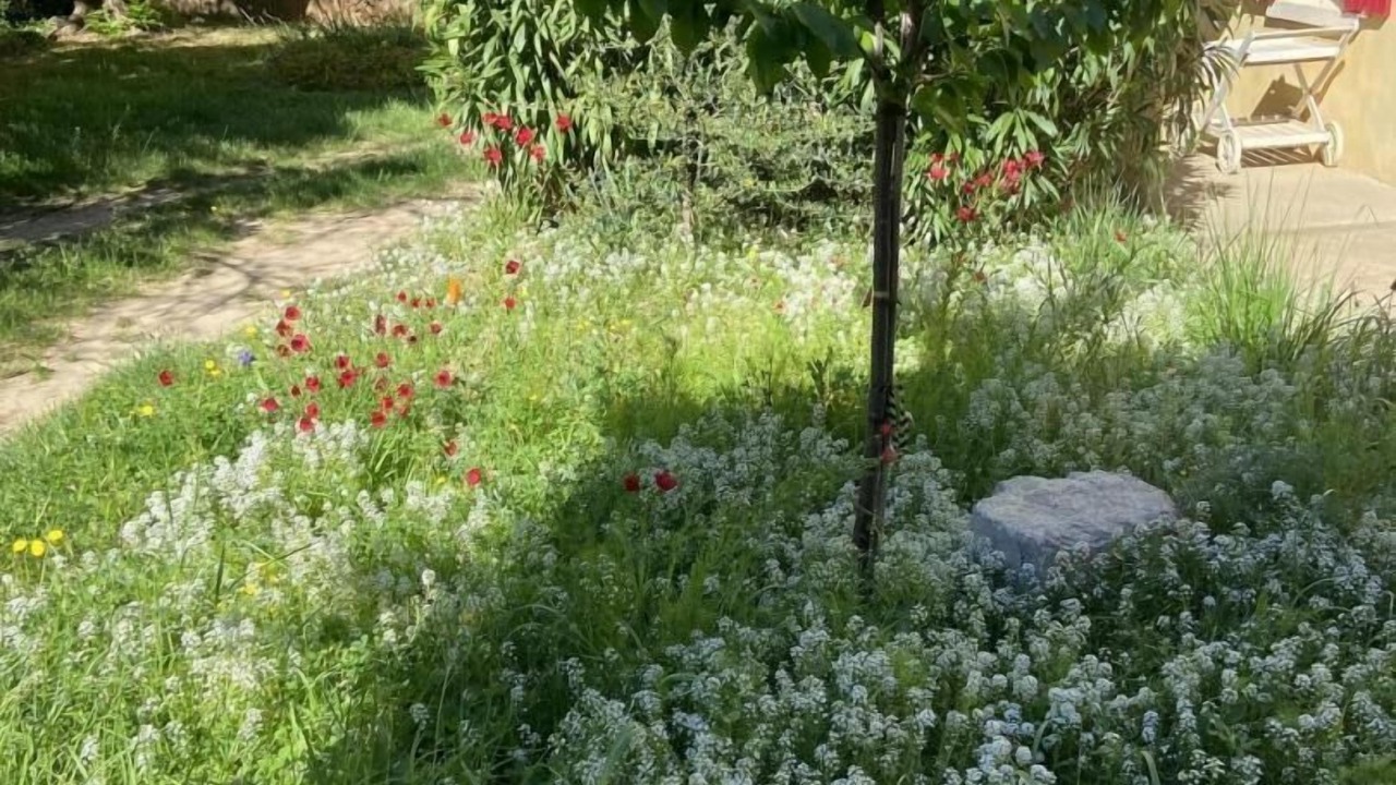 Photo of Outdoor in Rougiers