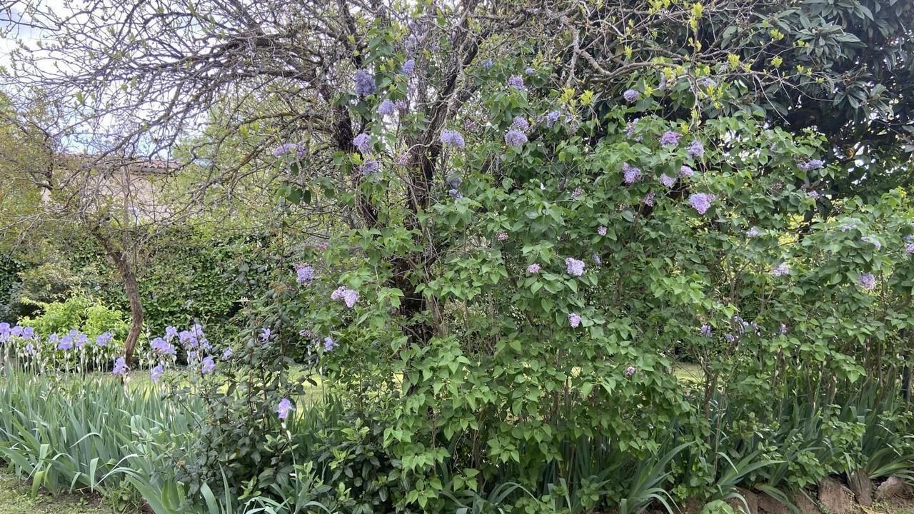 Photo of Outdoor in Rougiers