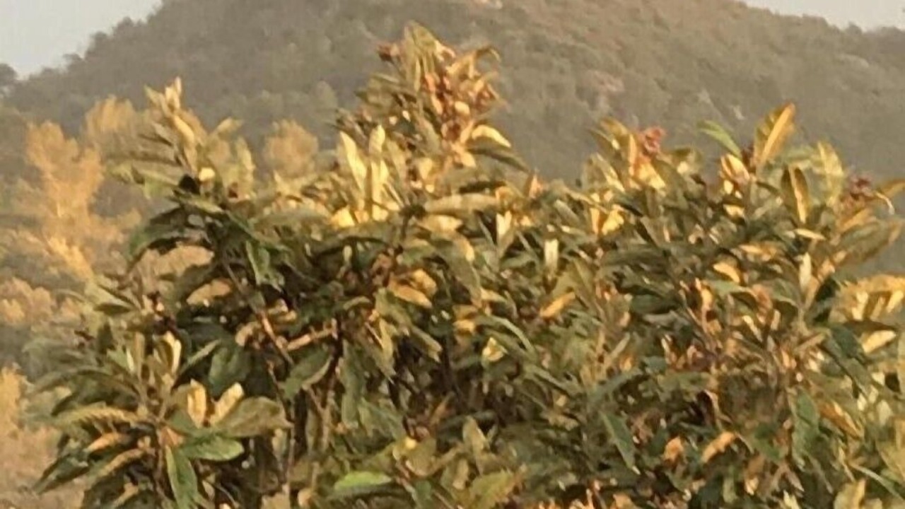 Photo of Outdoor in Rougiers