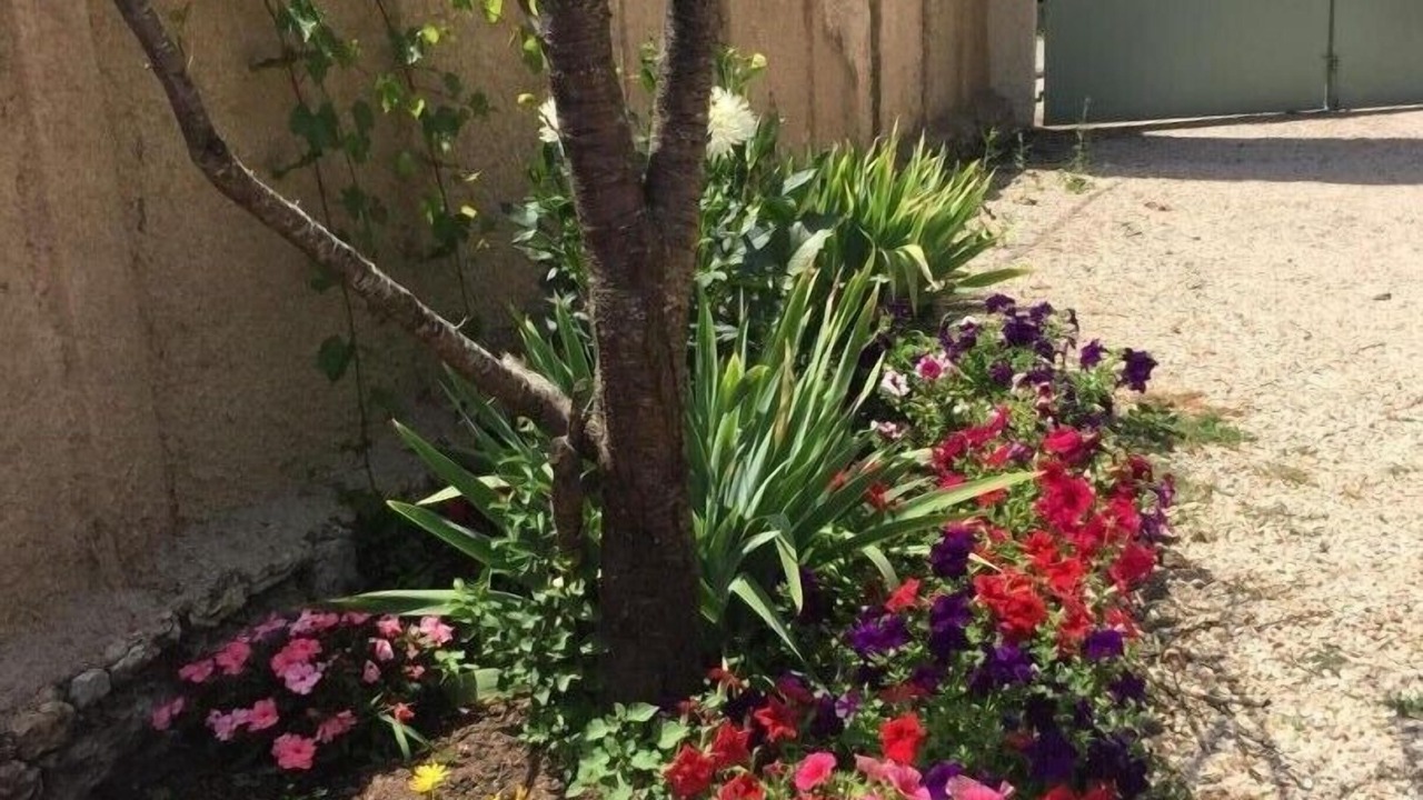 Photo of Outdoor in Callian