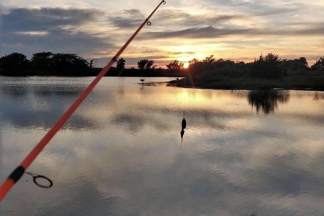 Photo of Outdoor in Lamont