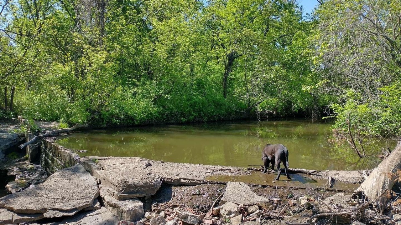 Photo of Outdoor in Lamont