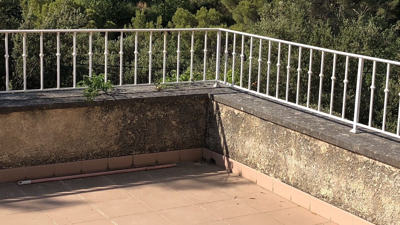 Photo of Outdoor in Piegon