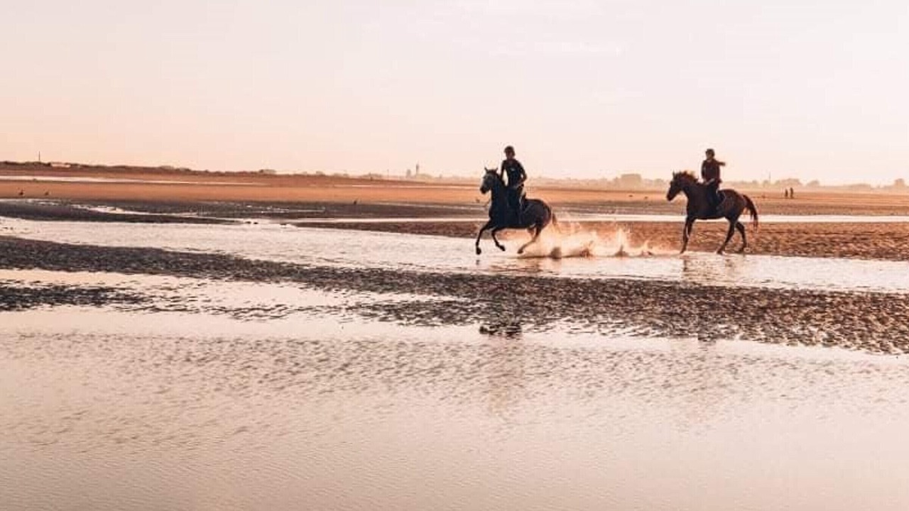 Photo of Others in Merville-Franceville-Plage