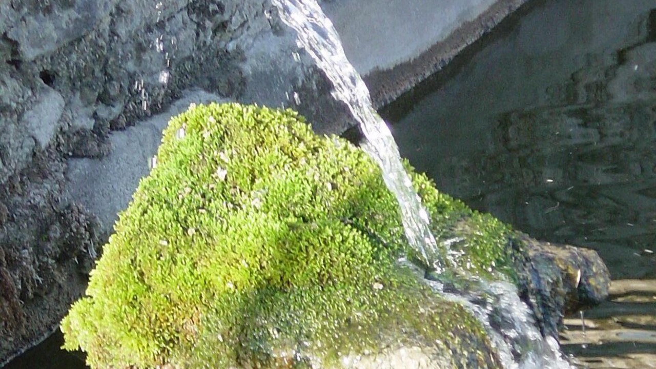 Photo of Outdoor in Marsanne