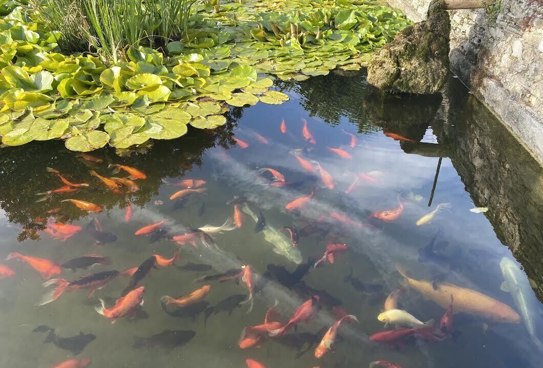 Photo of Outdoor in Marsanne