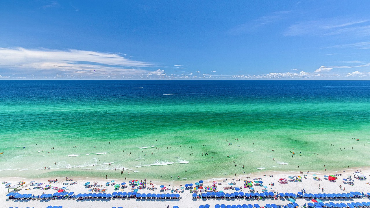 Photo of Others in Panama City Beach