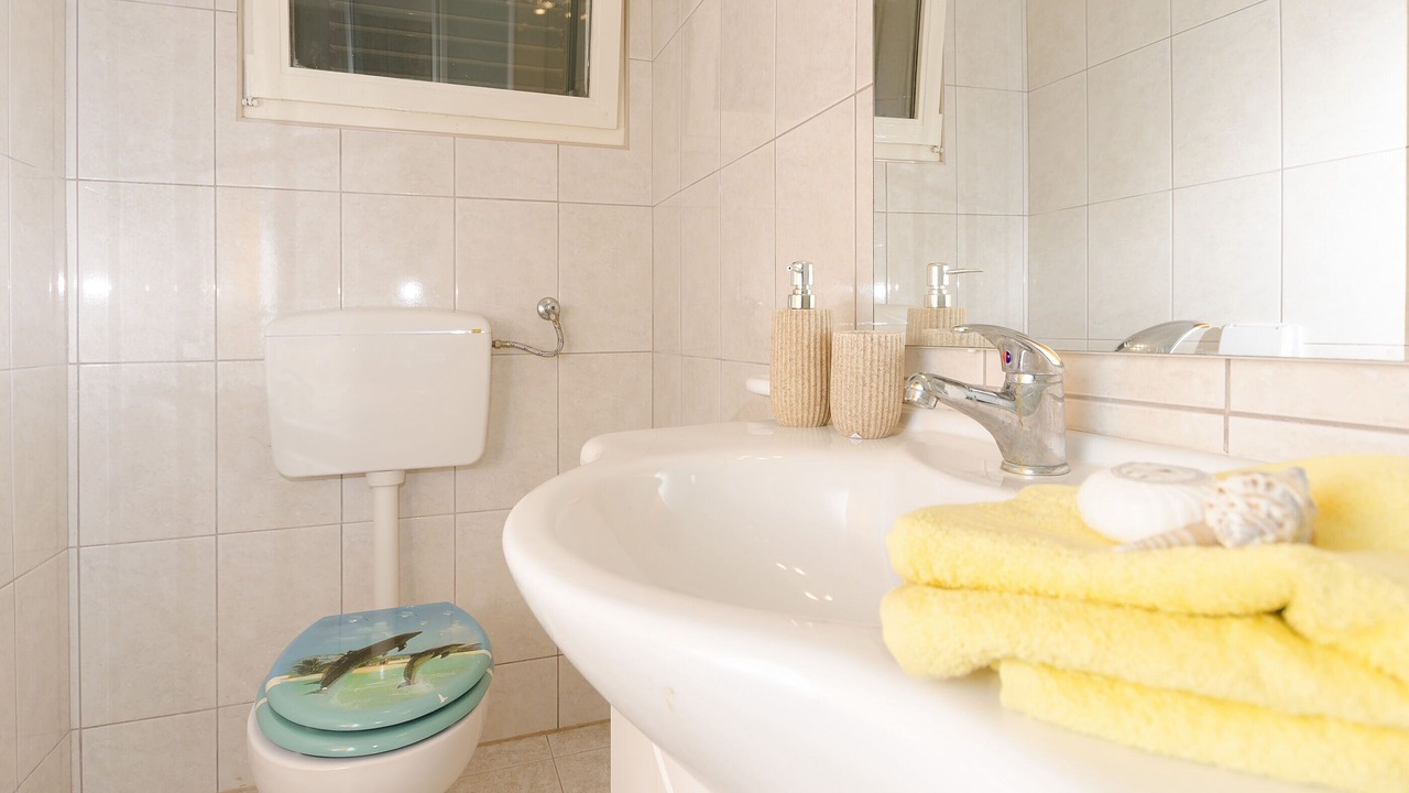 Photo of Bathroom in Susica
