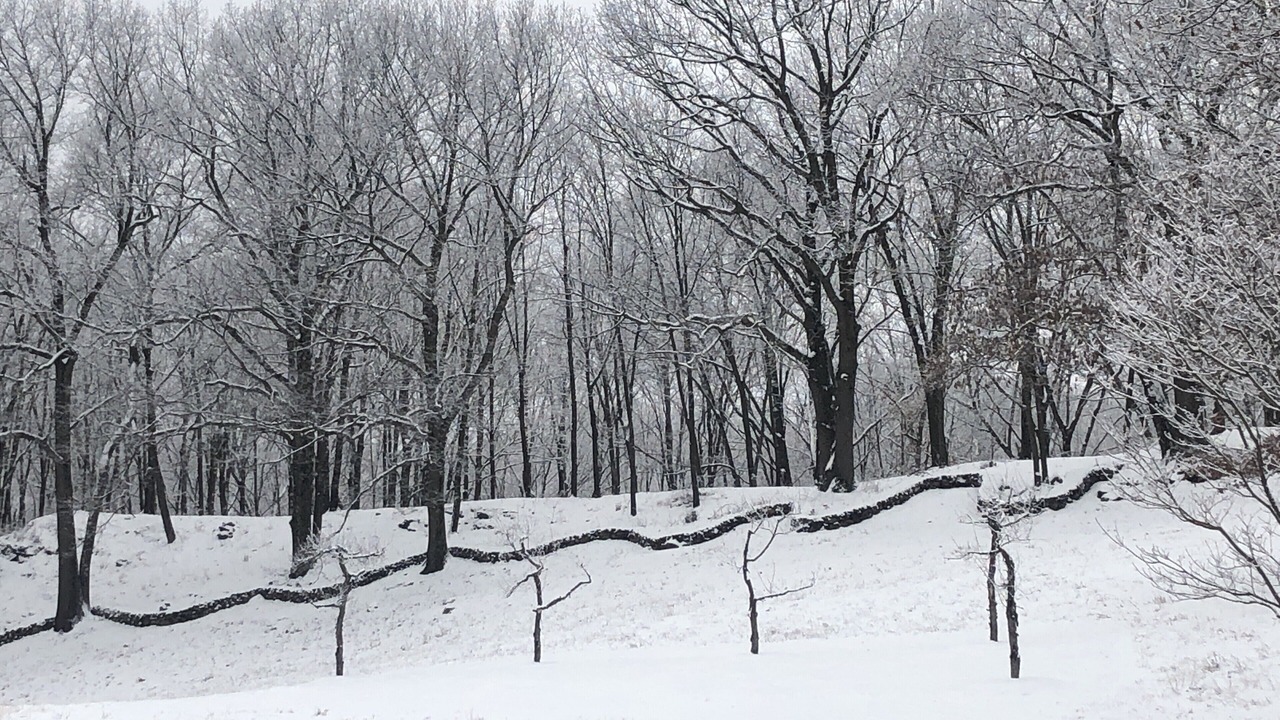 Photo of Others in Stanfordville