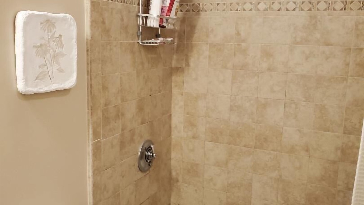 Photo of Bathroom in D Street - West Broadway