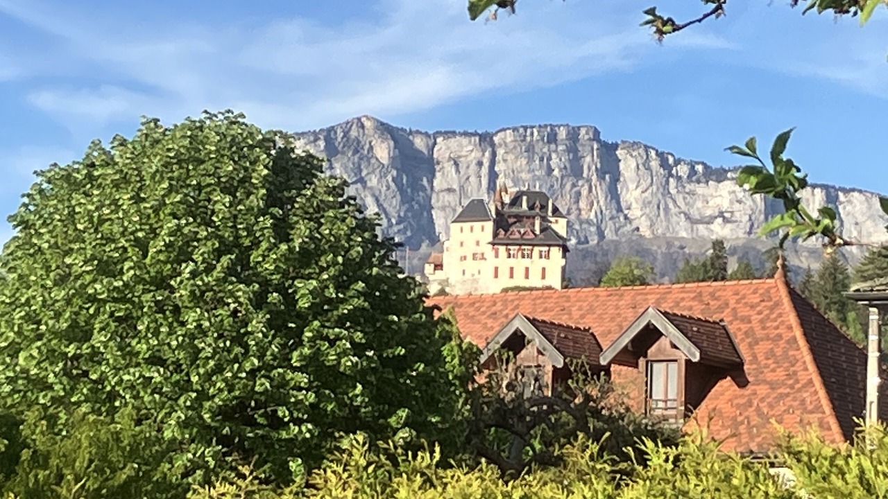 Photo of Outdoor in Menthon-Saint-Bernard