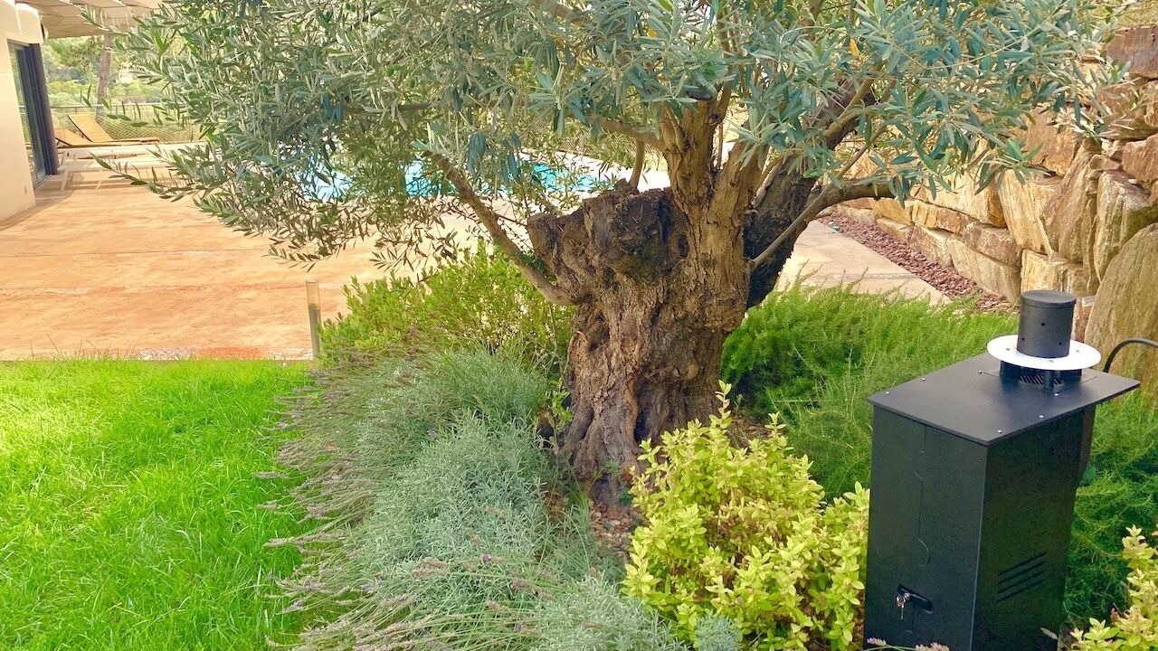 Photo of Outdoor in Saint-Gely-du-Fesc