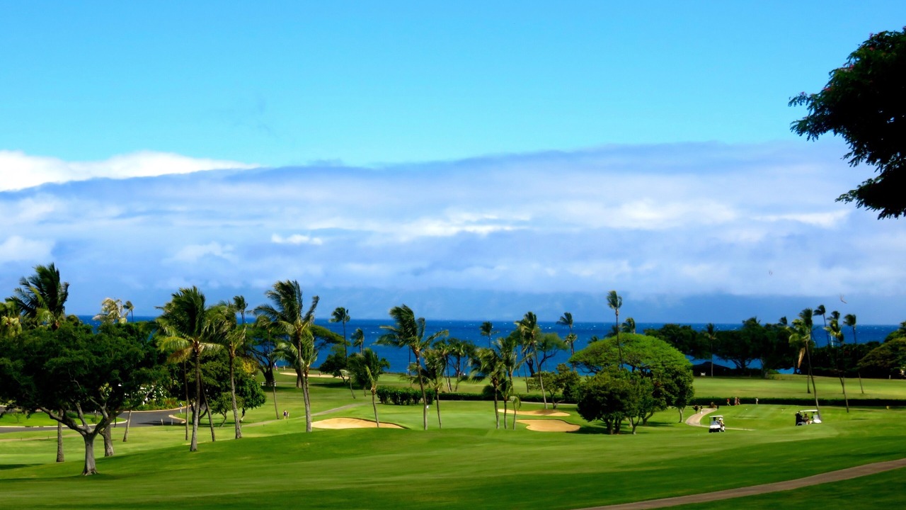 Photo of Others in Downtown Lahaina