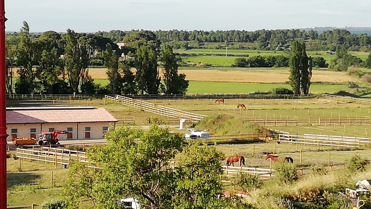 Photo of Others in Vendres