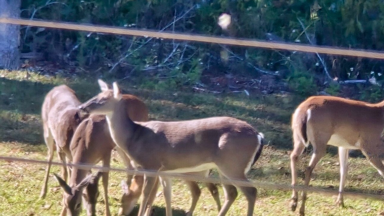 Photo of Others in Marianna