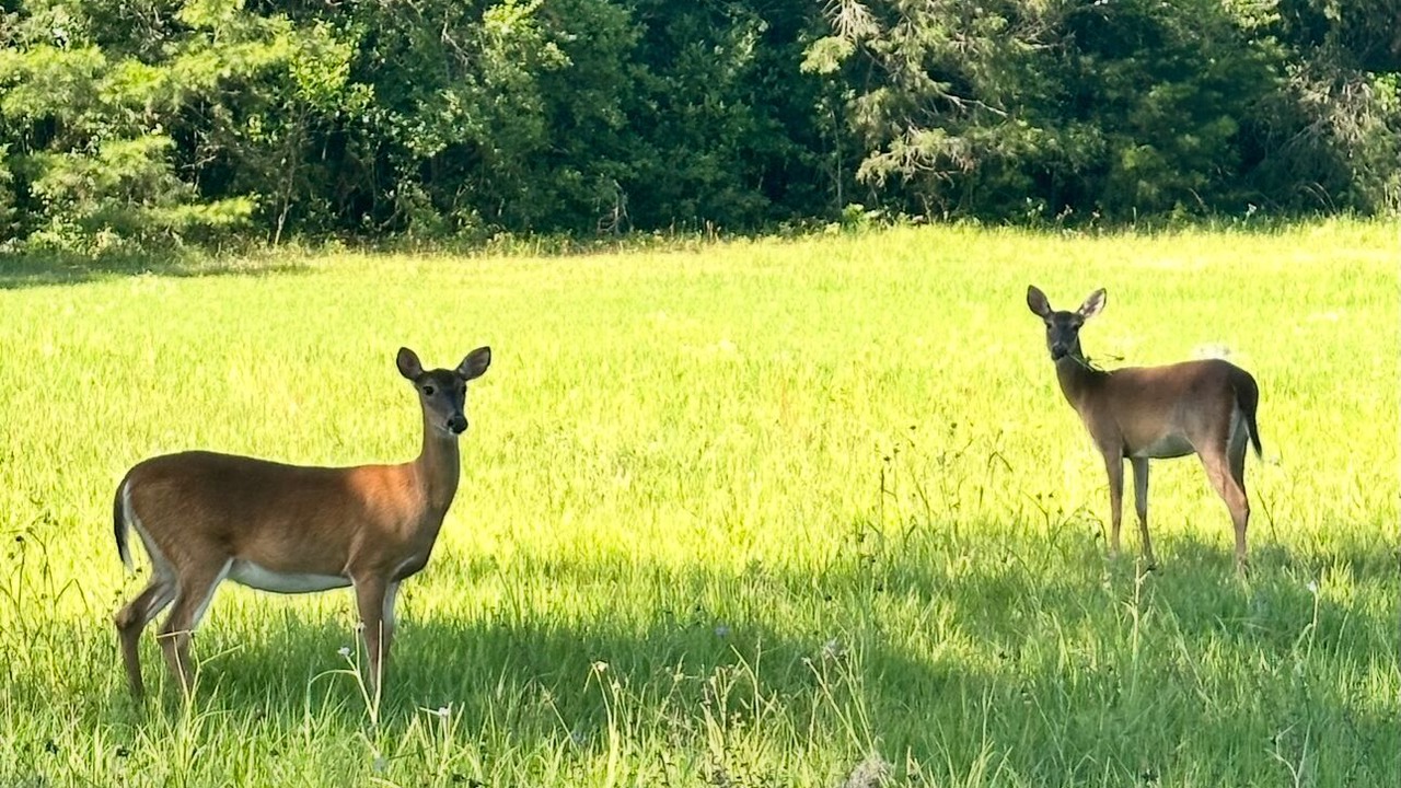 Photo of Others in Marianna