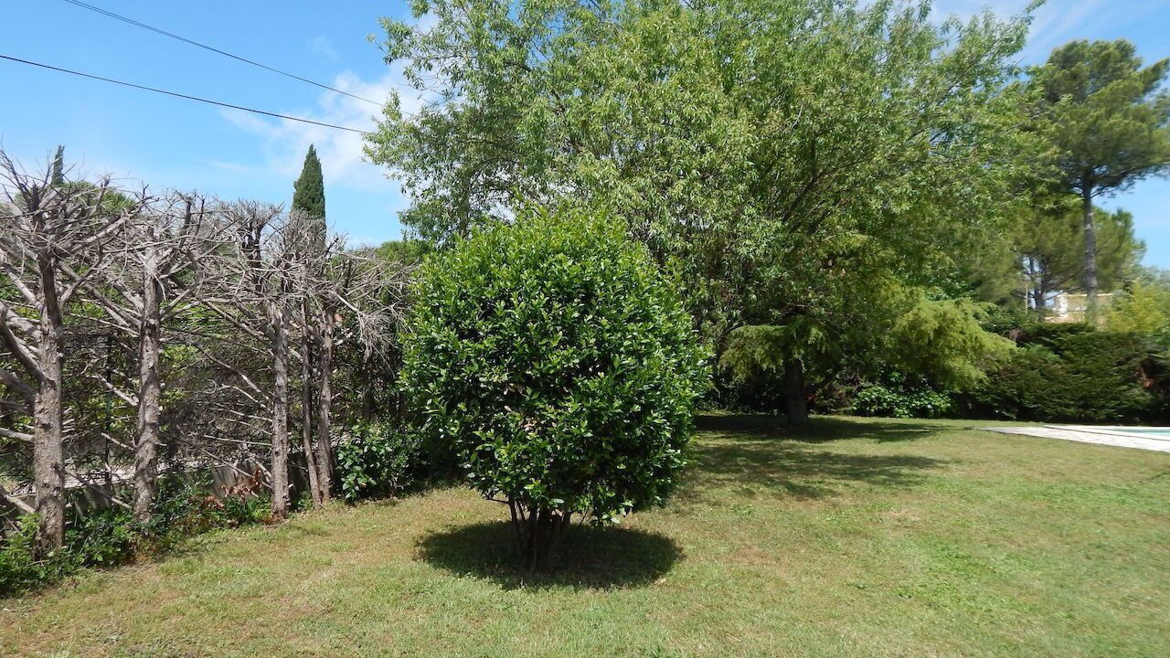 Photo of Outdoor in Castelnau-le-Lez