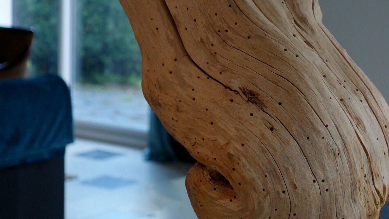 Photo of Others in Hardelot-Plage