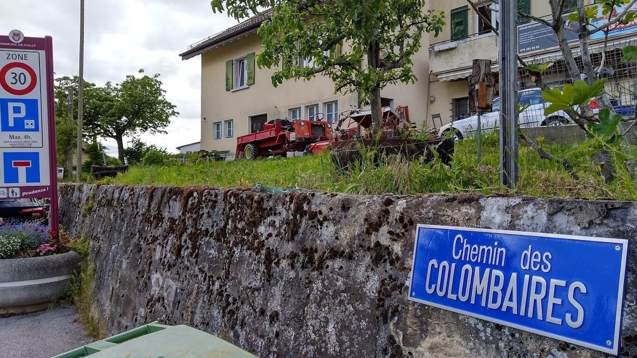 Photo of Outdoor in Cully