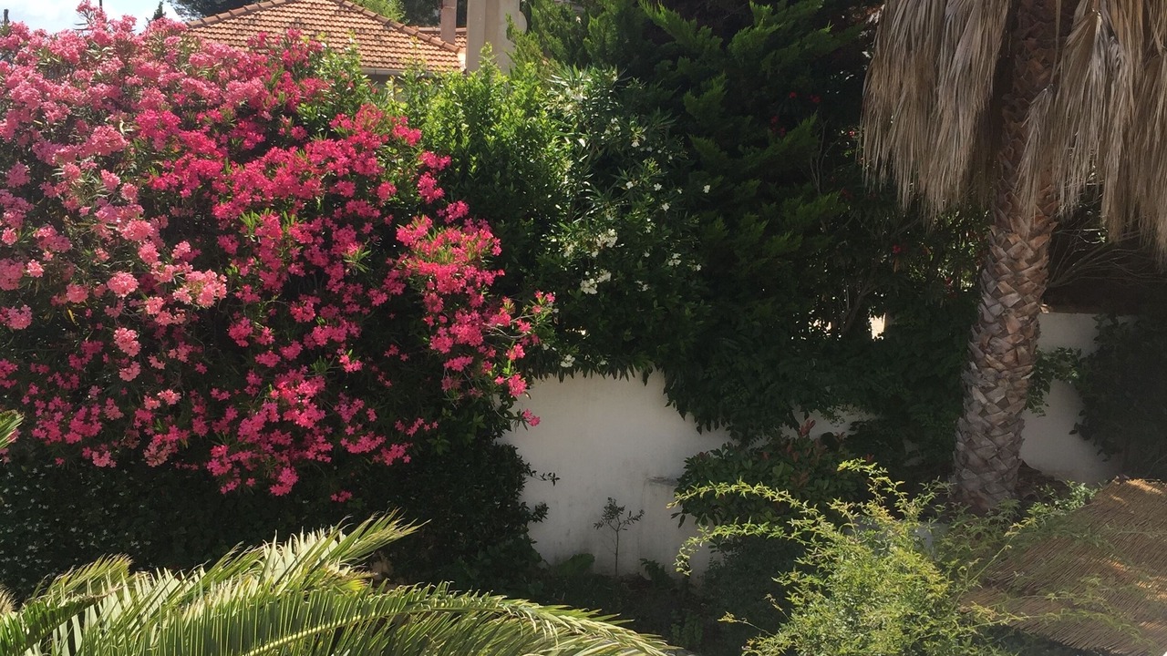 Photo of Outdoor in Carry-le-Rouet