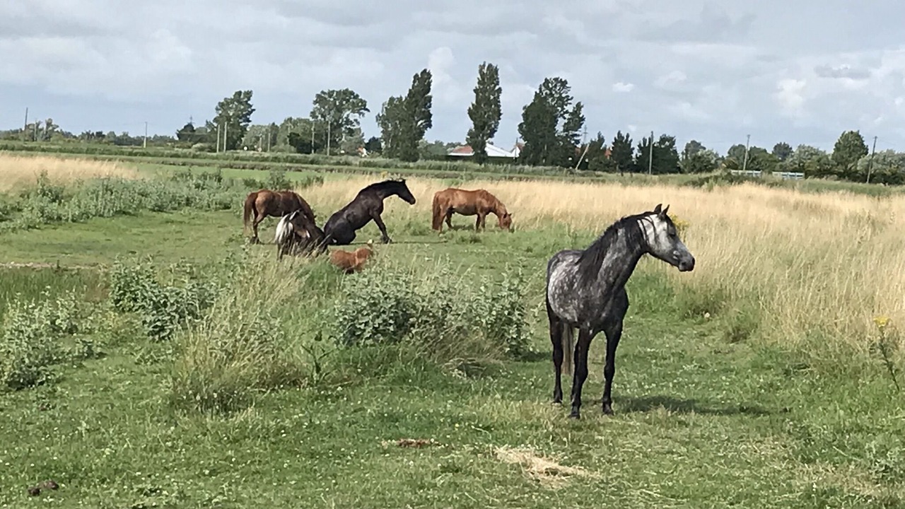 Photo of Others in Bressuire