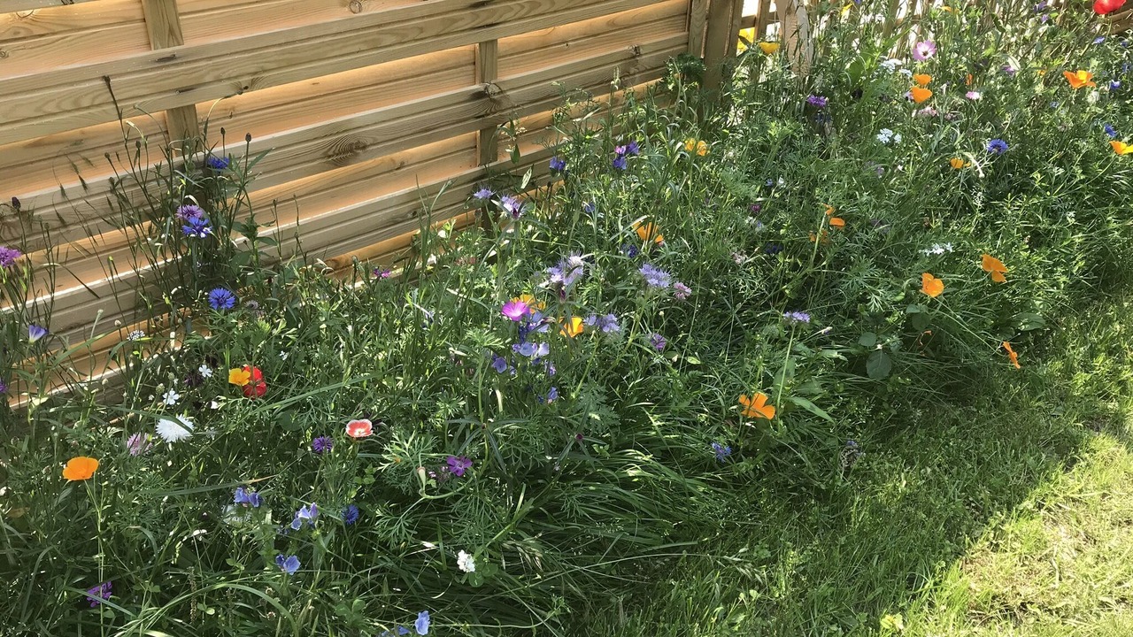 Photo of Outdoor in Bressuire