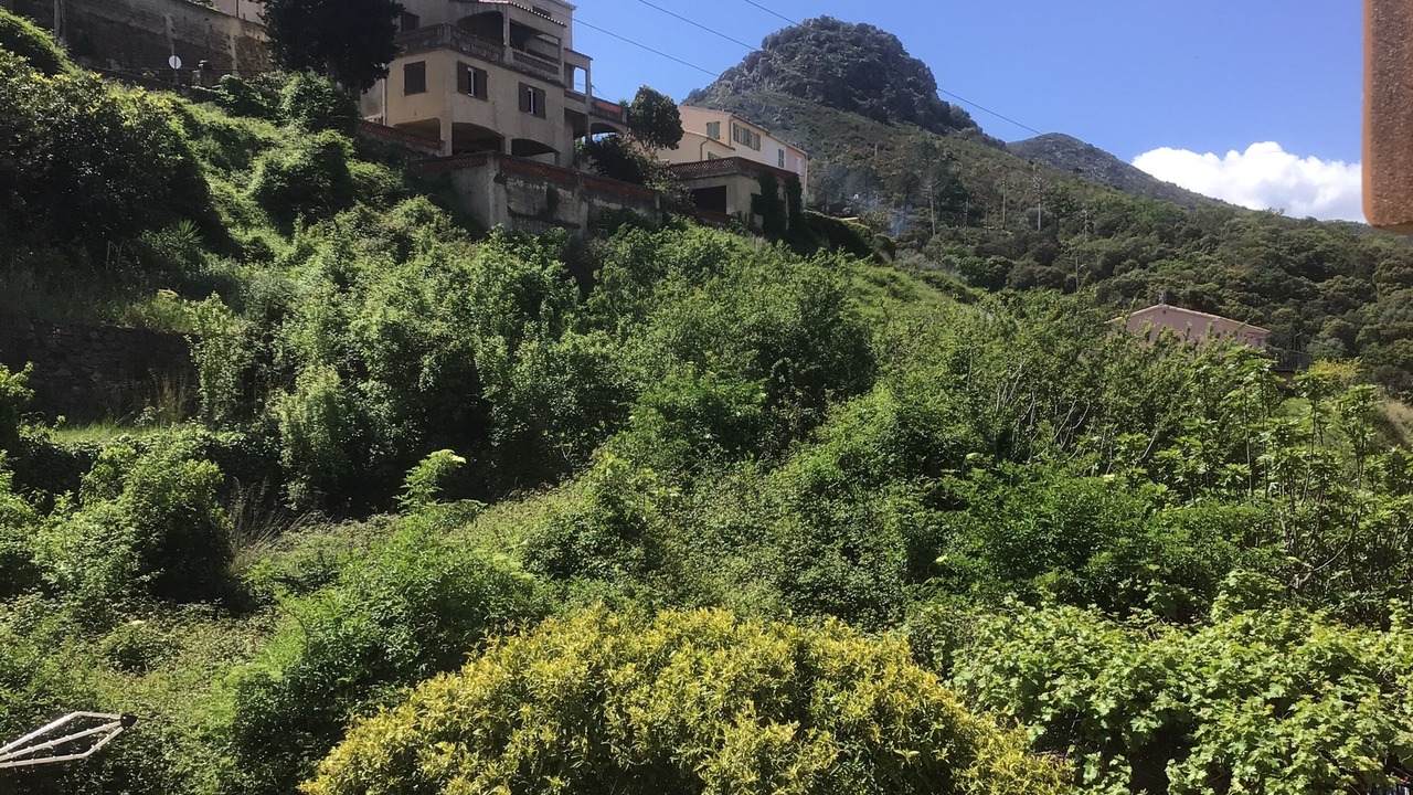 Photo of Outdoor in Calenzana