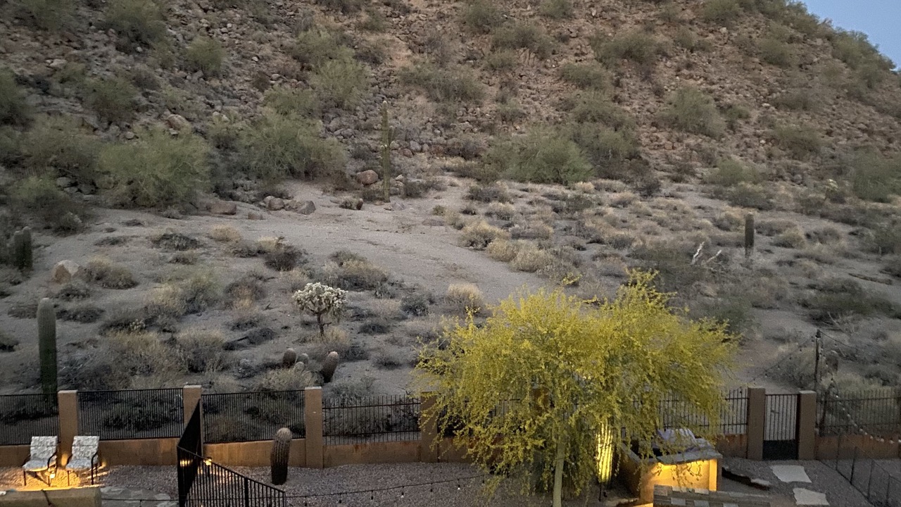 Photo of Others in East Mesa