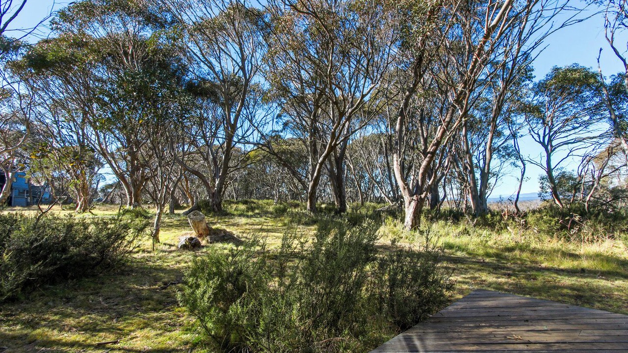 Photo of Others in Dinner Plain