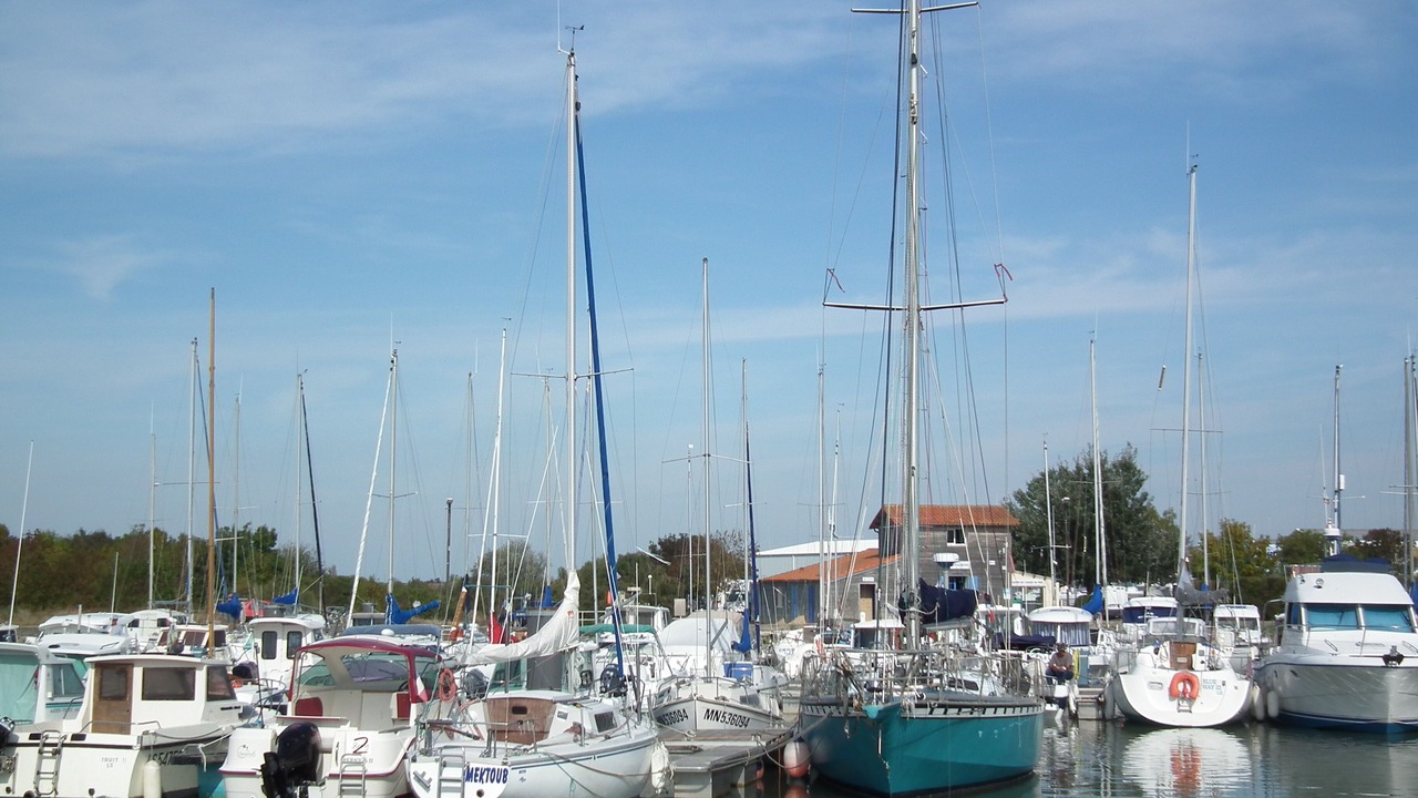 Photo of Others in Meschers-sur-Gironde