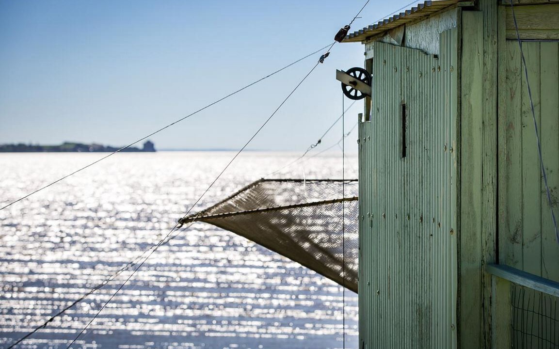 Photo of Others in Meschers-sur-Gironde