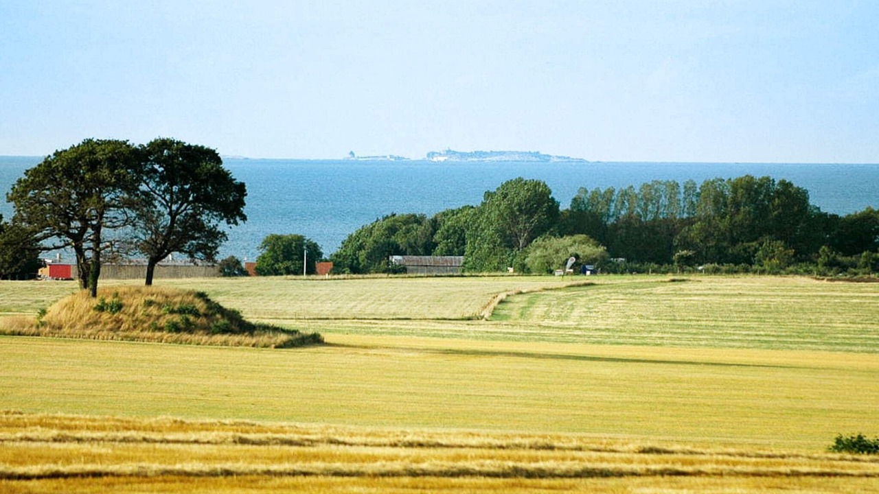 Photo of Others in Svaneke