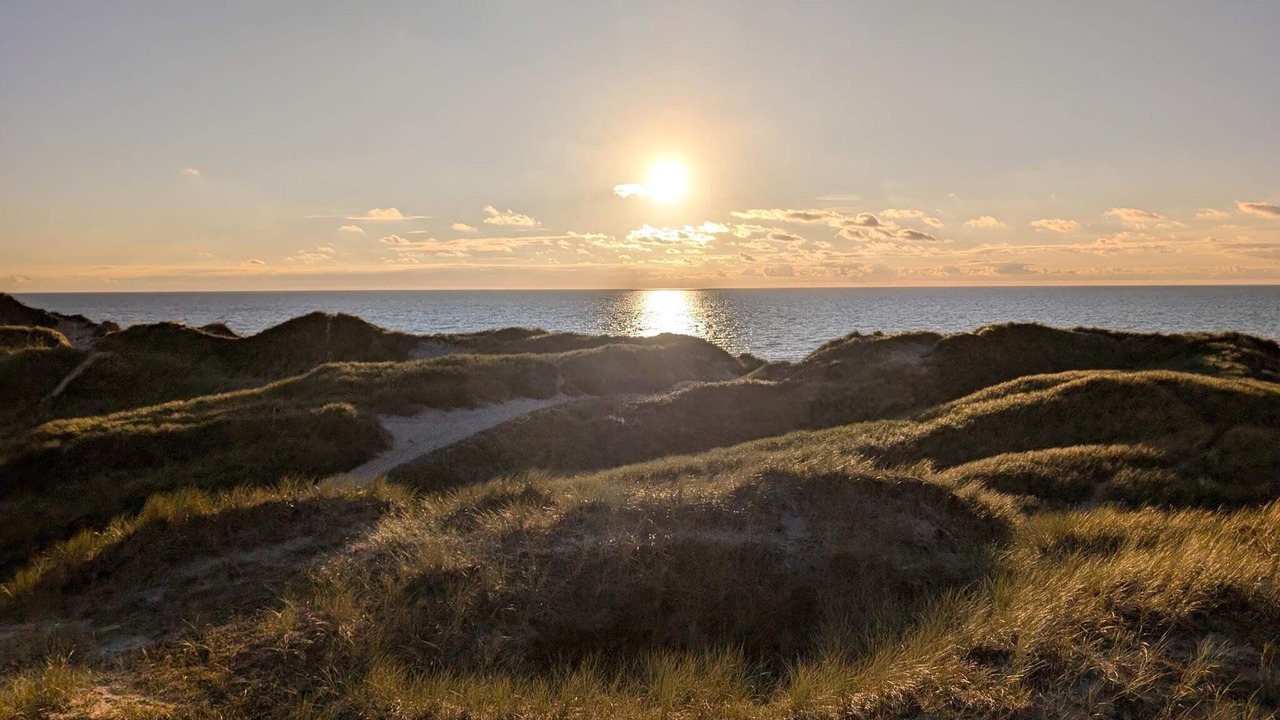 Photo of Others in Sønder Nissum