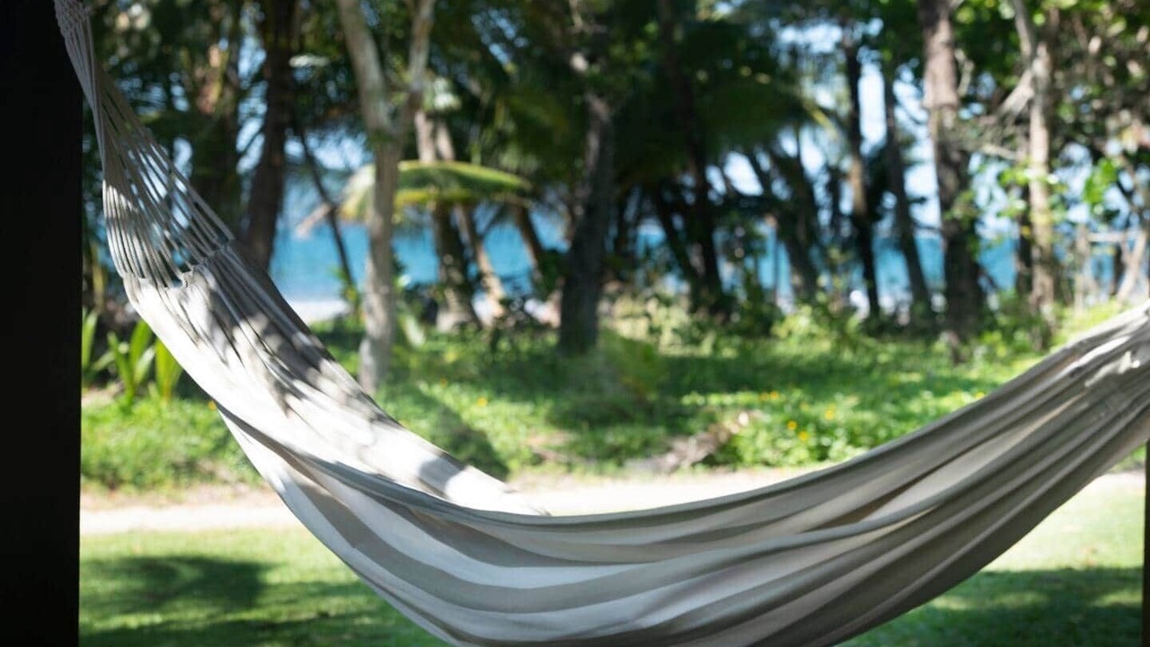 Photo of Others in Mission Beach