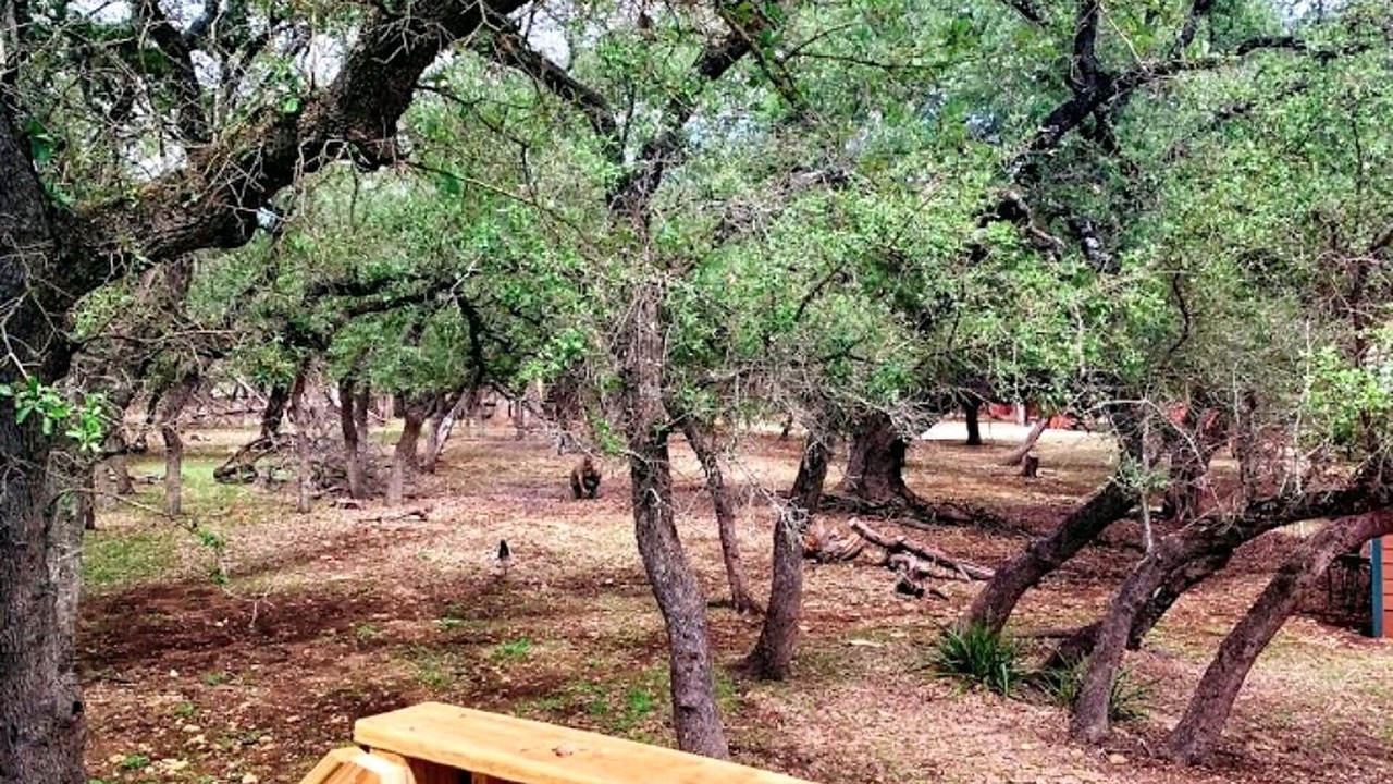 Photo of Outdoor in Boerne