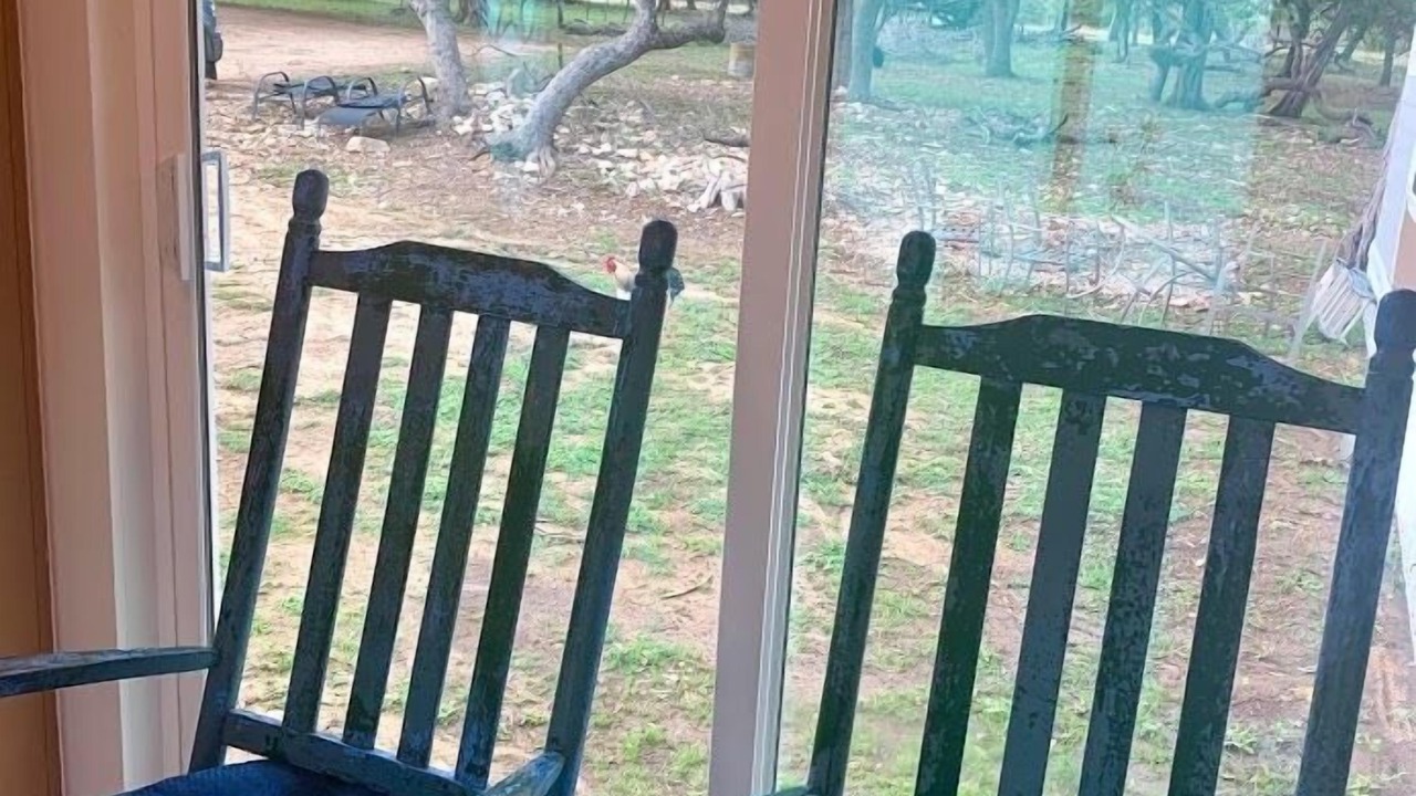 Photo of Others in Boerne