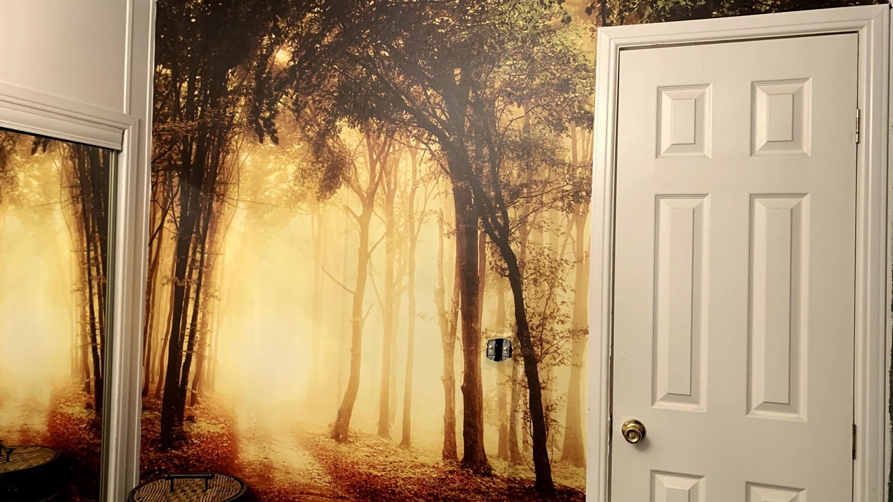 Photo of Bedroom in Boerne
