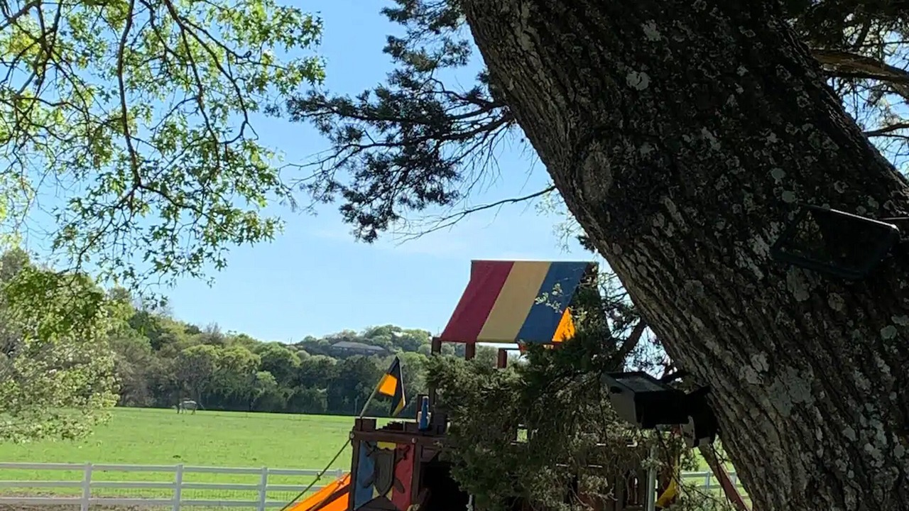 Photo of Others in Boerne