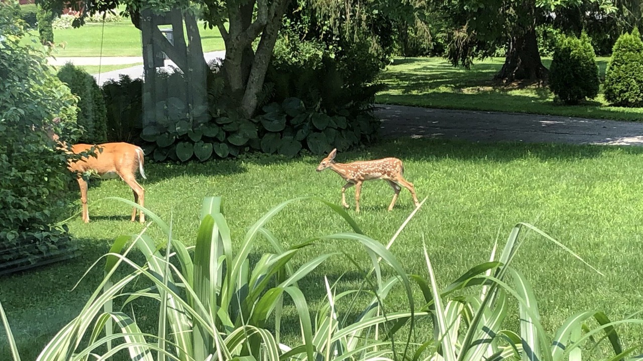 Photo of Others in Town of Copake