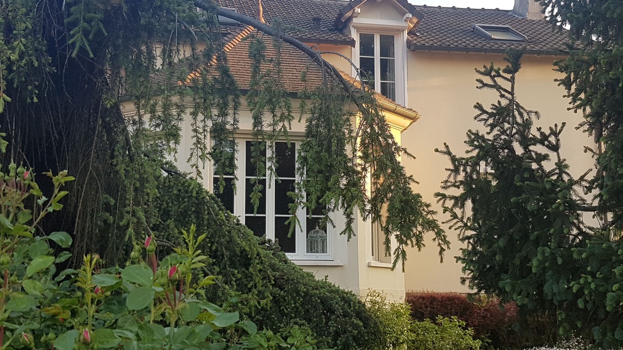 Photo of Outdoor in Montigny-sur-Loing