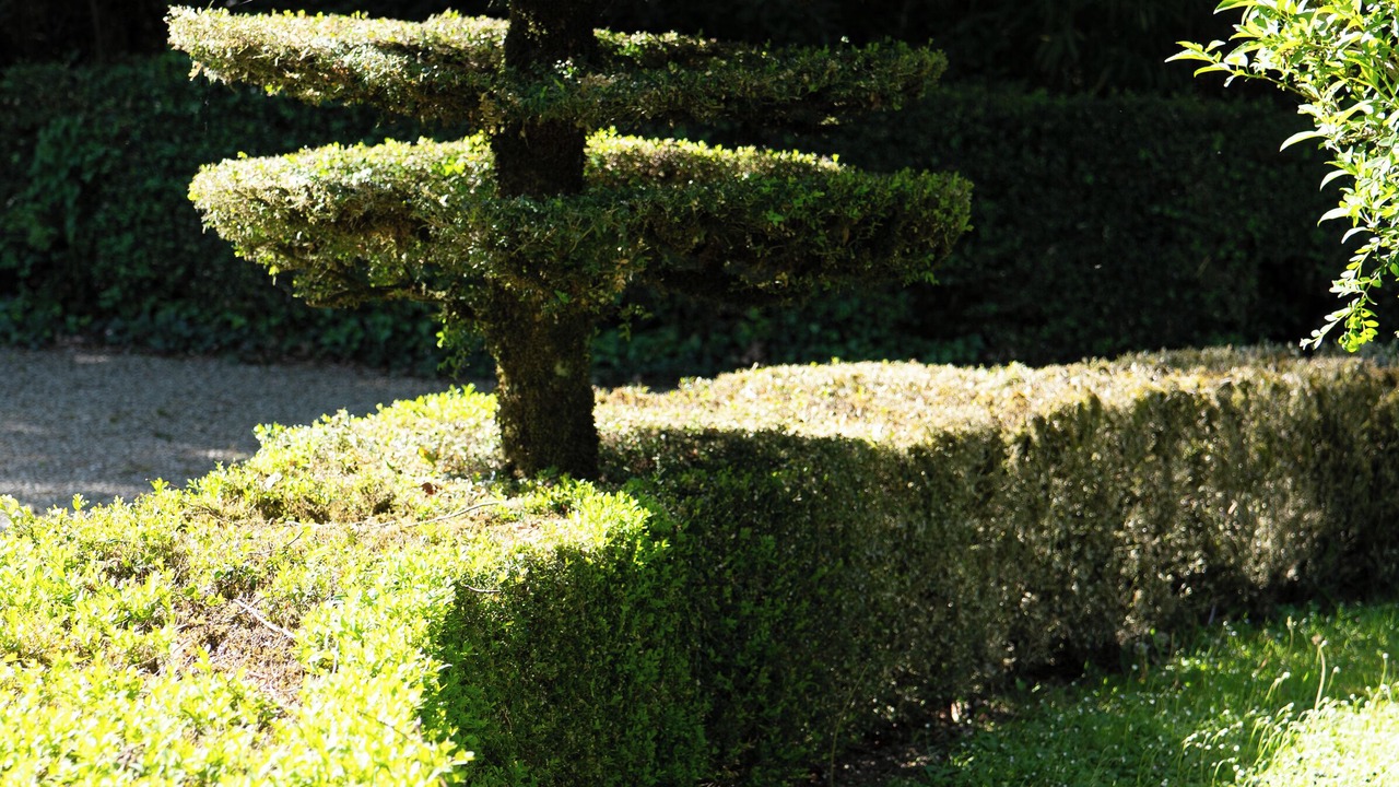 Photo of Outdoor in Lempaut