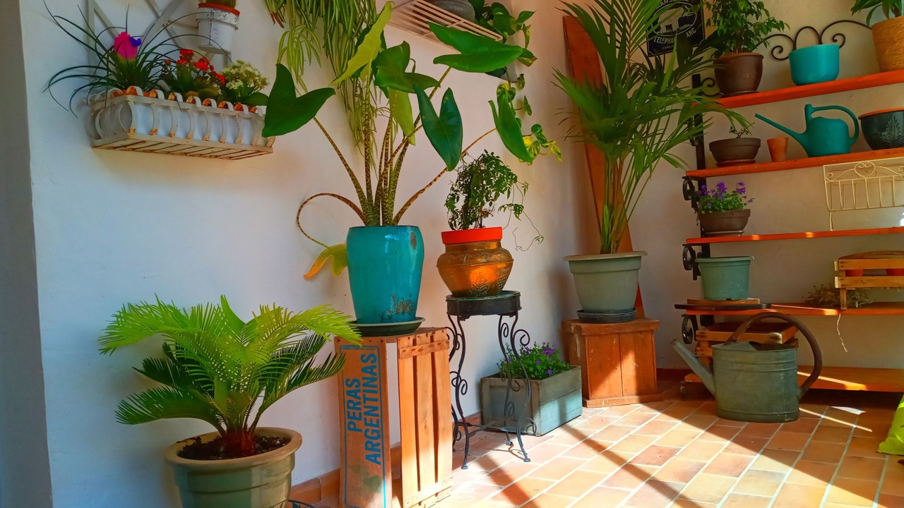 Photo of Others in Viens