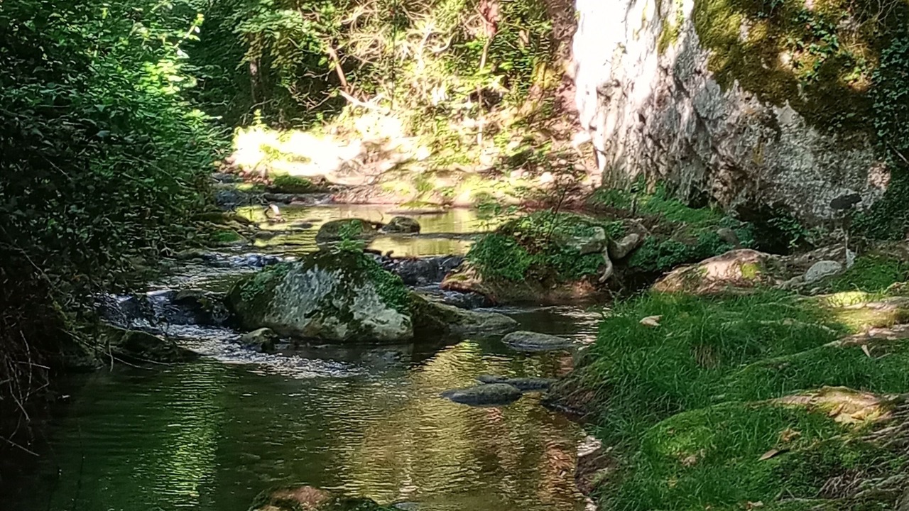 Photo of Others in Viens