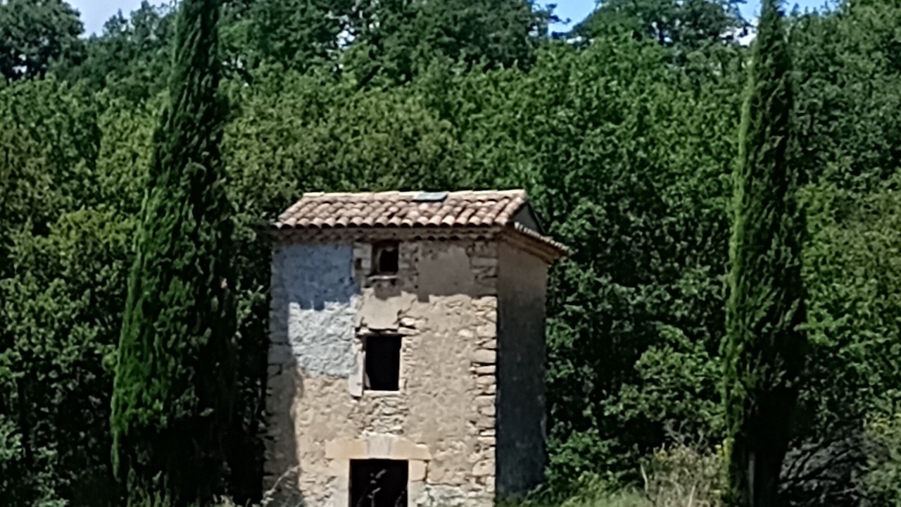 Photo of Others in Viens