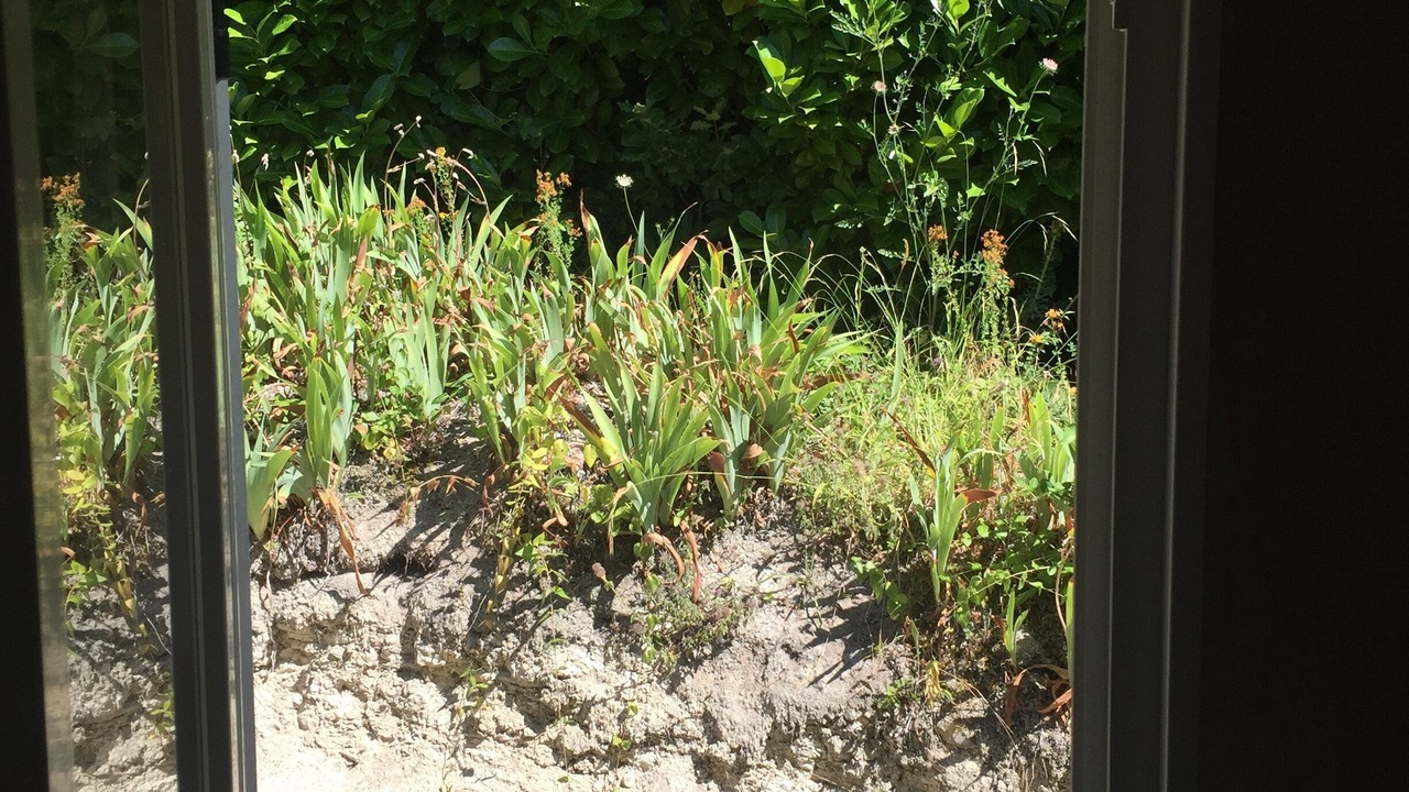 Photo of Others in Saint-Paul-Lizonne