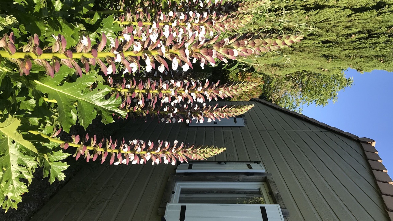 Photo of Outdoor in Saint-Paul-Lizonne