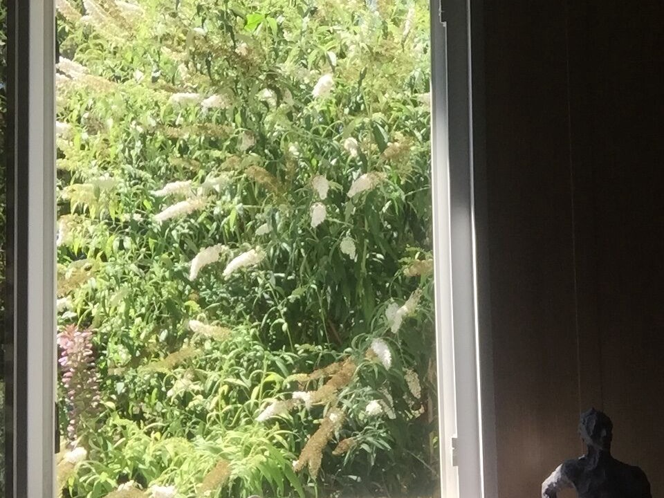 Photo of Outdoor in Saint-Paul-Lizonne